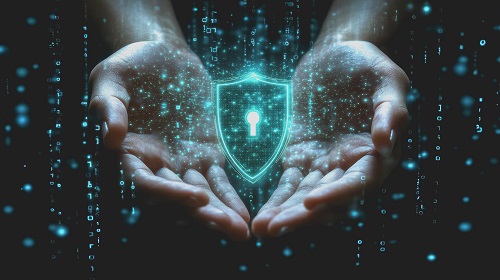 How to Choose a Digital Risk Protection Company